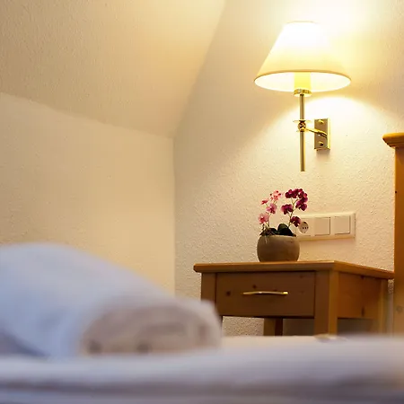 Hotel Gruenshof Walldorf (Baden-Wurttemberg)